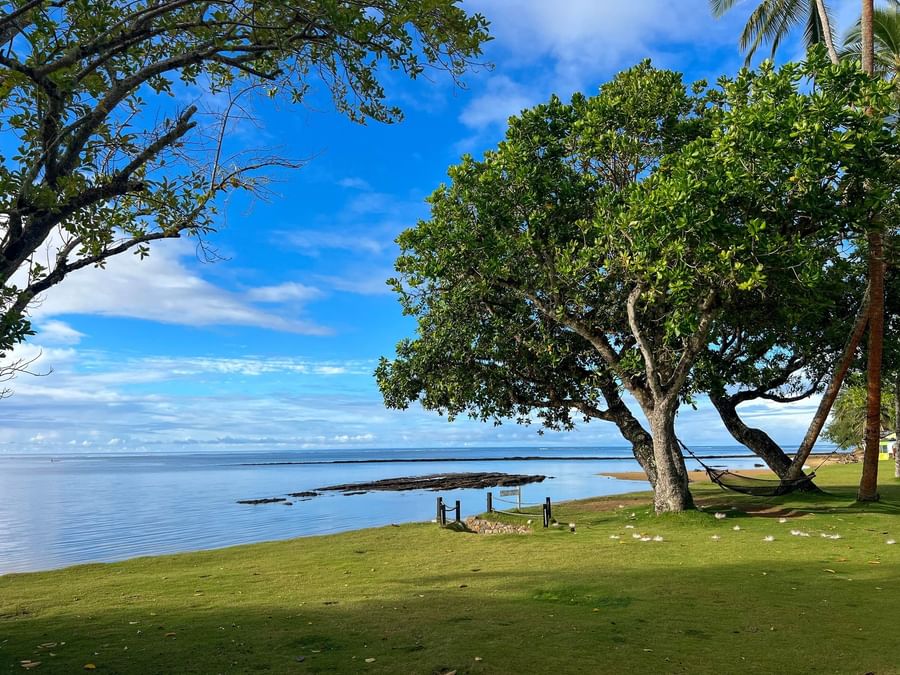 Hammock between trees overlooking ocean at The Naviti Resort Fiji.