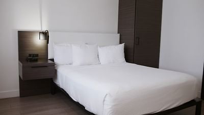 Large bed in Standard Queen ADA at The Nest Palo Alto