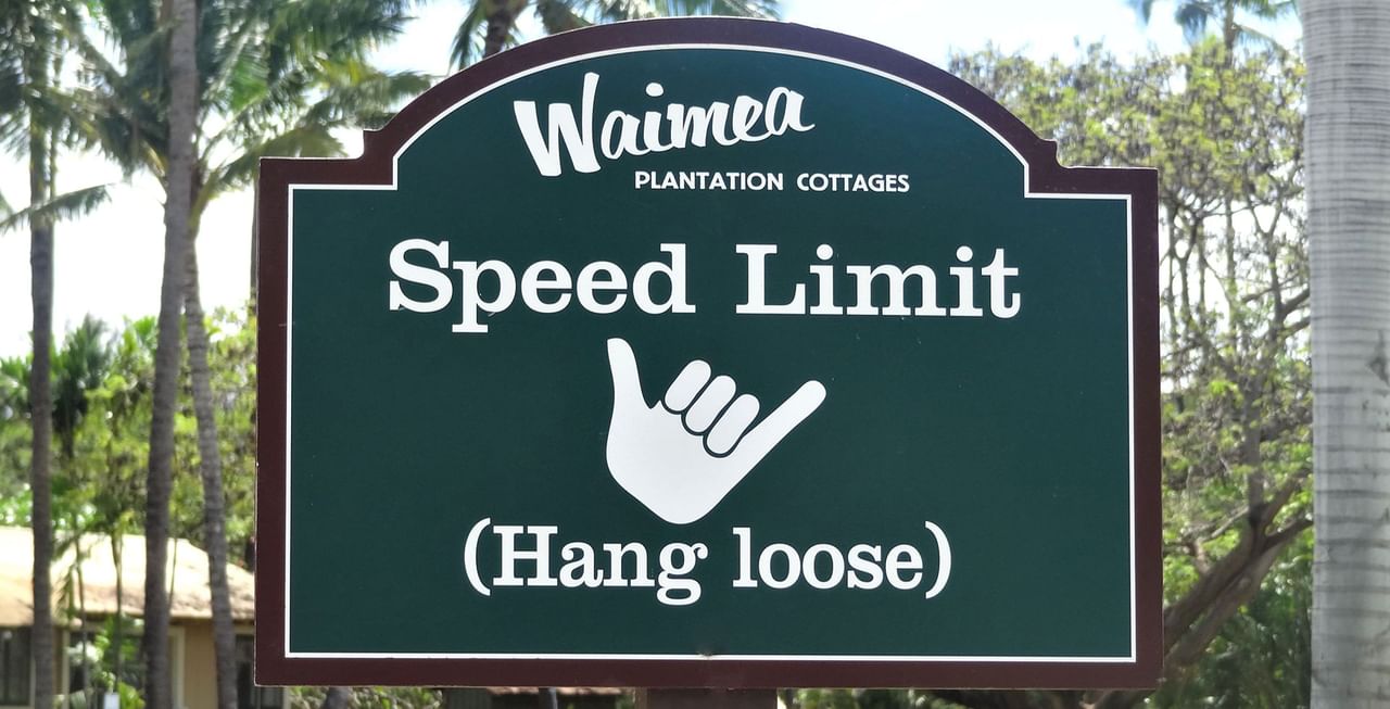 Hang loose sign