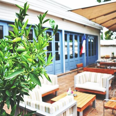 Striped armchairs by a wooden table beneath a tan awning by a citrus tree at Ensamblaje Restaurant, NOI Blend Colchagua