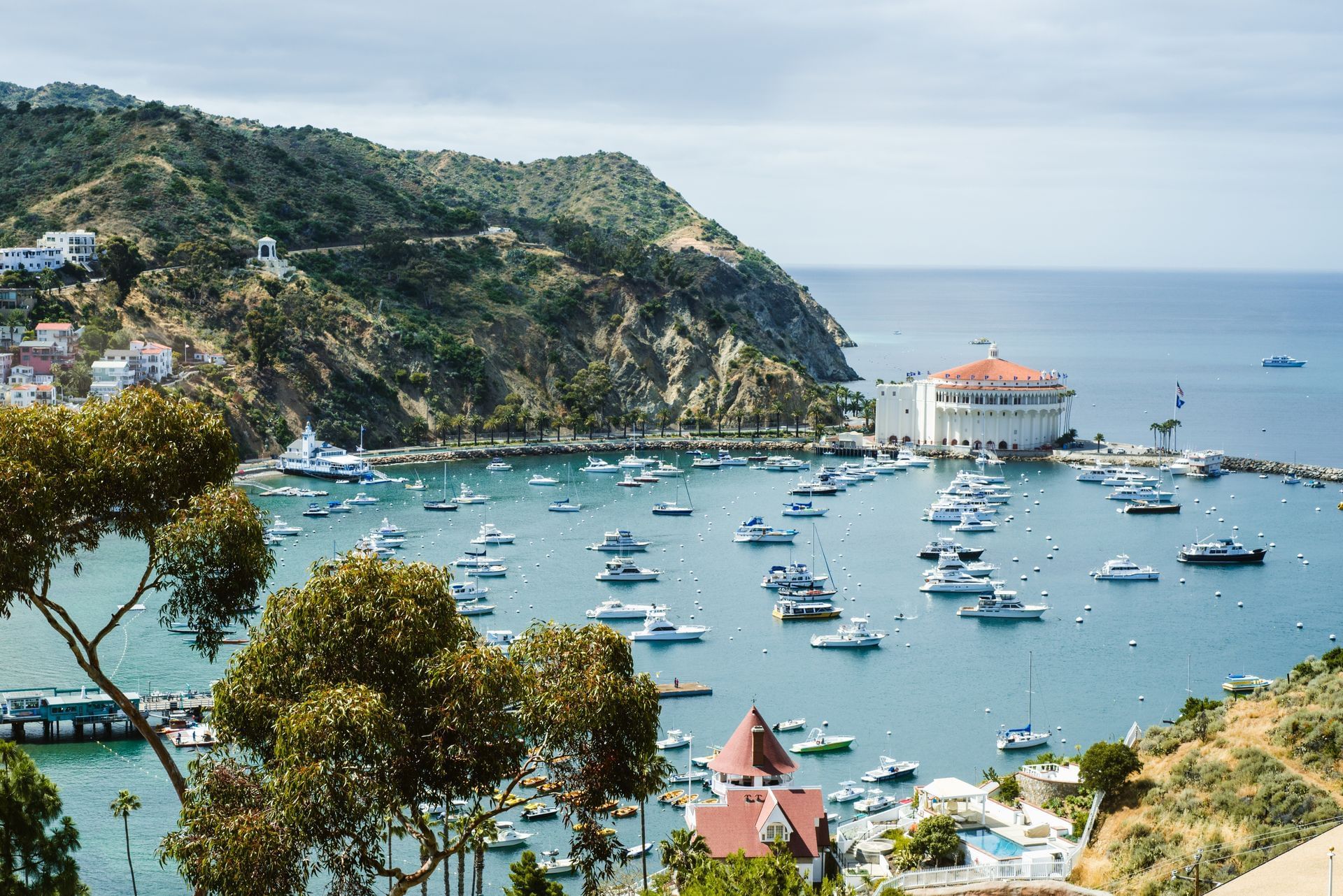Aerial view of boats docked on the Harbor near Catalina Island Company