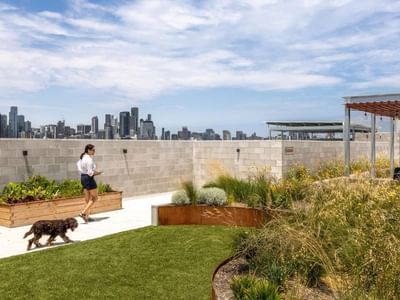 Woman jogging with dog on rooftop terrace featuring green lawn, planters, and city skyline views during Swift Walk.