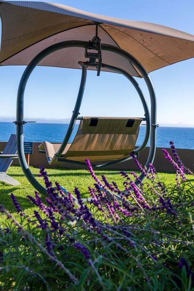 Swing chair on grass facing the ocean