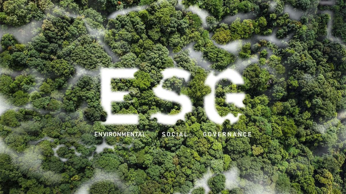 ESG logo with environmental, social, and governance text over a forest image at Warwick Corporate