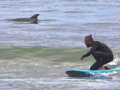 A surfer riding a wave with a dolphin near our hotel in Wildwood Crest NJ