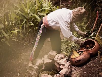 Close up on a man plucking corn from the feild at Hotel Sumaq