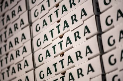Stacked white pizza boxes with dark green Gattara branding by a storage wall in Gattara Restaurant & Patio at Warwick Denver