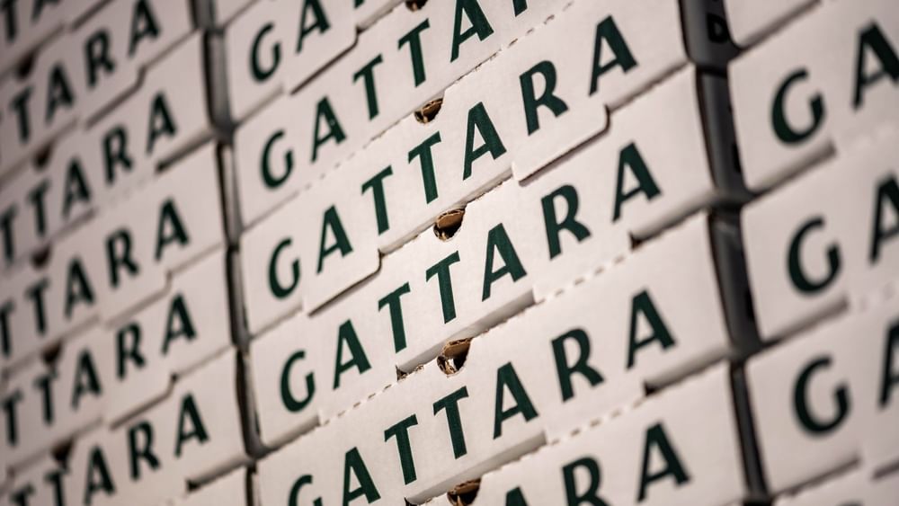 Stacked white pizza boxes with dark green Gattara branding by a storage wall in Gattara Restaurant & Patio at Warwick Denver