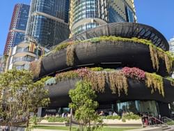 biophilic building at Barangaroo Sydney