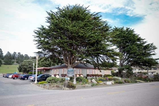 Cambria Pet Friendly Hotel Amenities - Sea Otter Inn