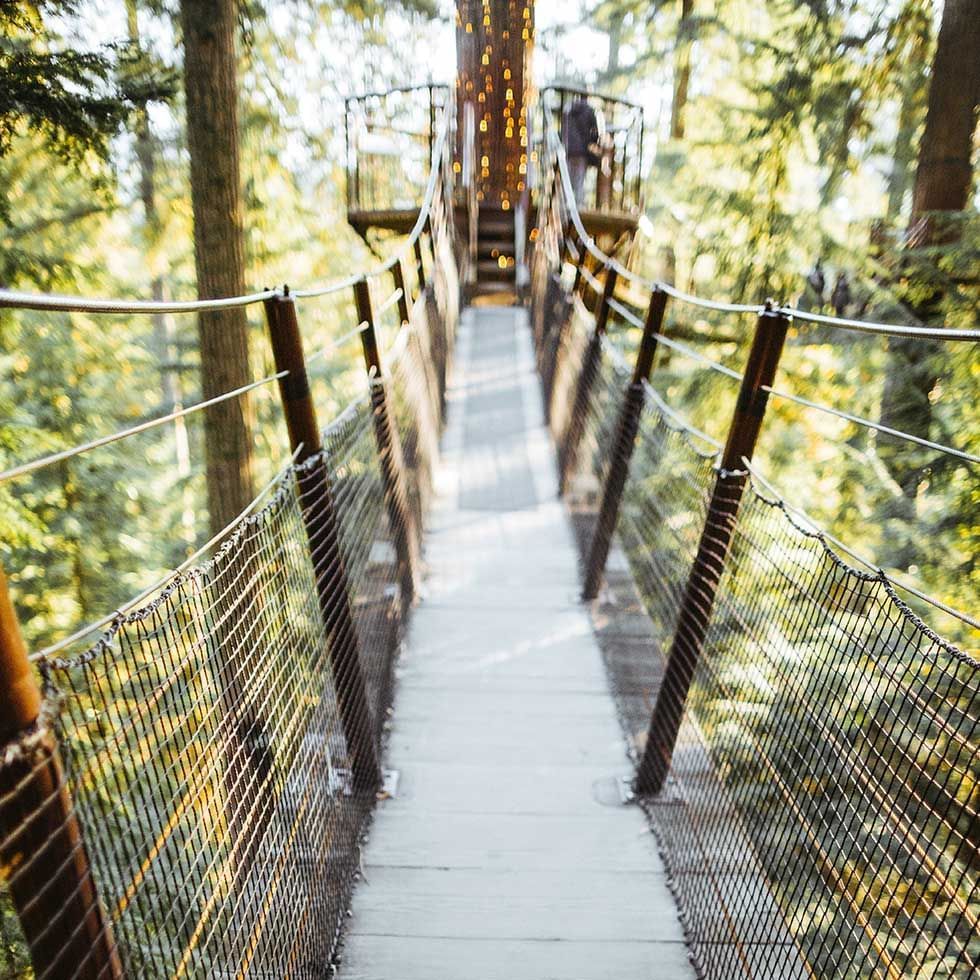 Althodis Treetop Skywalk near Falkensteiner Balance Resort Stegersbach