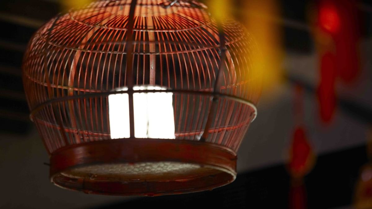Close-up of an empty birdcage in 88 Noodle Bar at Crown Hotels