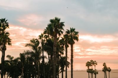 Oceanview sunset in Santa Monica