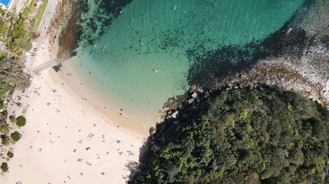 Shelly Beach near Elysium Manly showcasing swimmers and beachgoers relaxing along the shore, highlighting Manly attractions