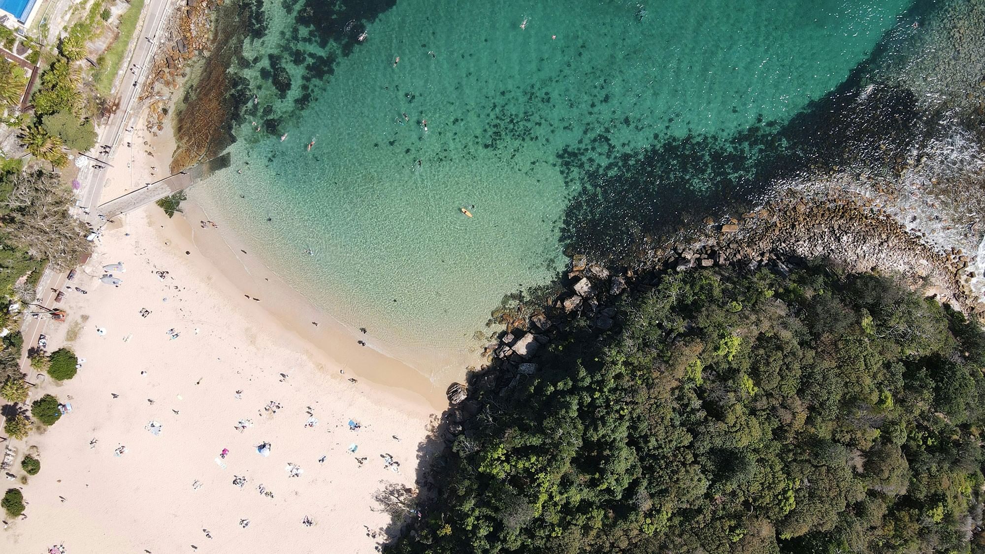Shelly Beach