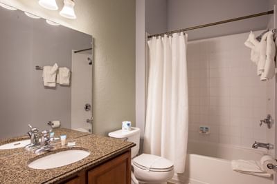 Bathroom vanity and shower