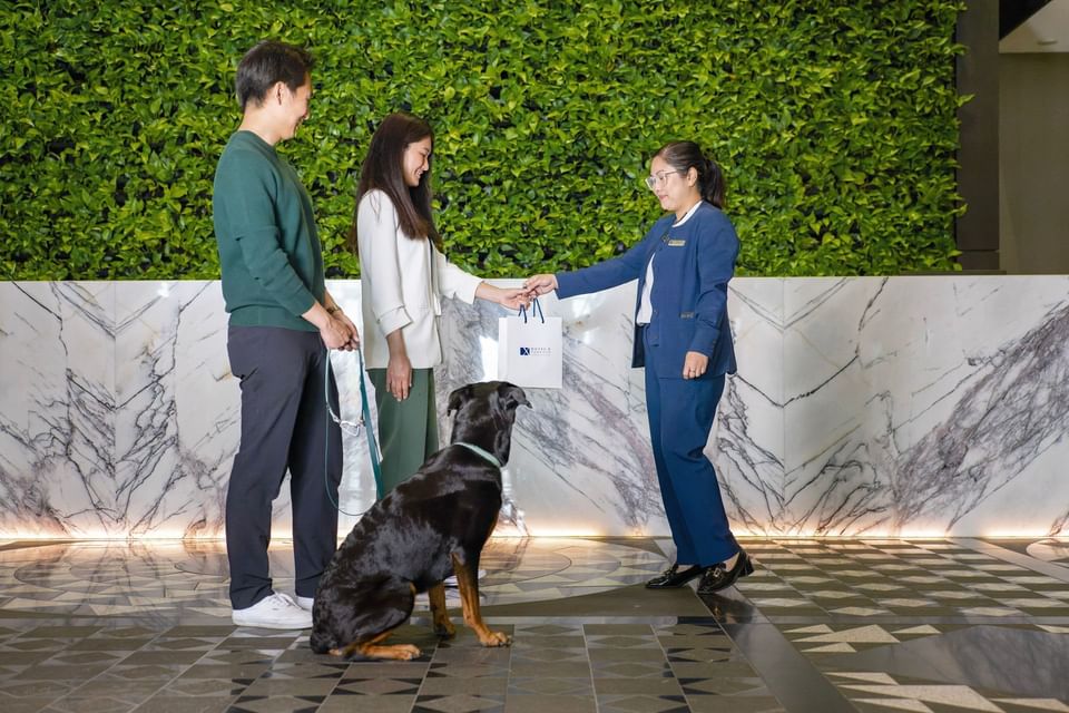 Couple and their pet dog checking in by the front desk at Hotel X Toronto