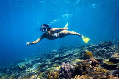 A lady snorkeling at Heron Reef near Heron Island Resort