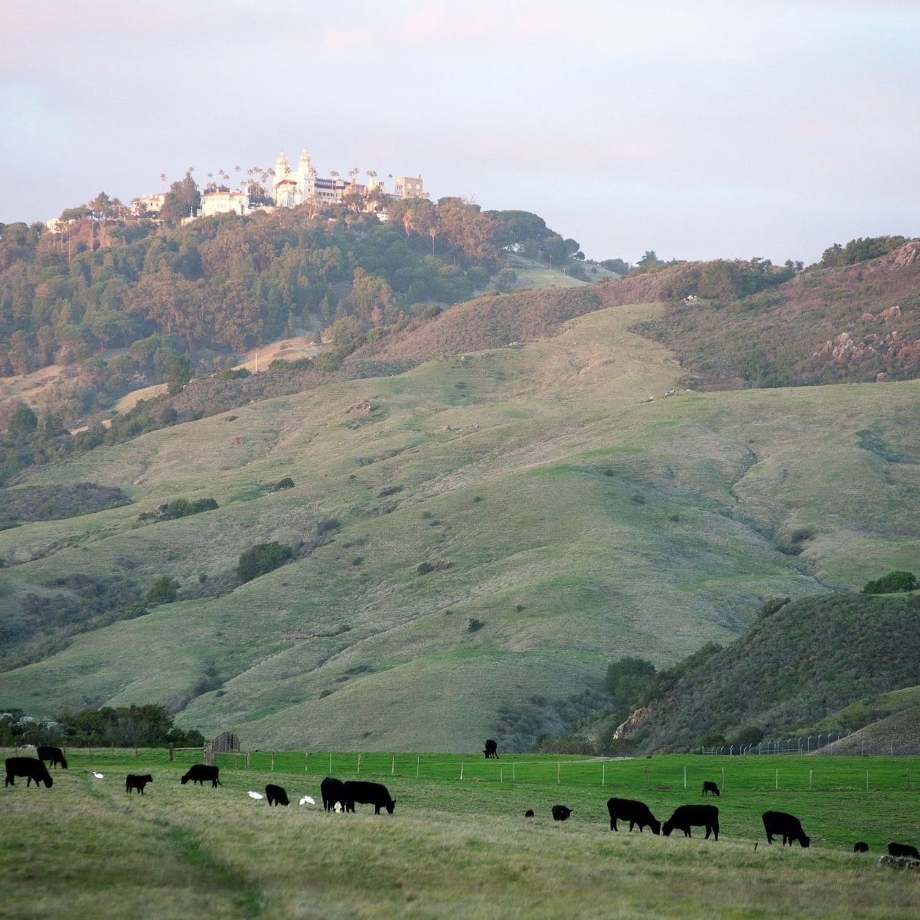 Hearst Castle San Simeon State Historical Monument 