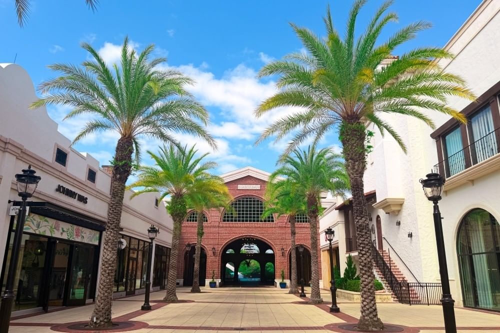 A large brick passageway flanked by beautiful stores and towering palm trees at Disney Springs.