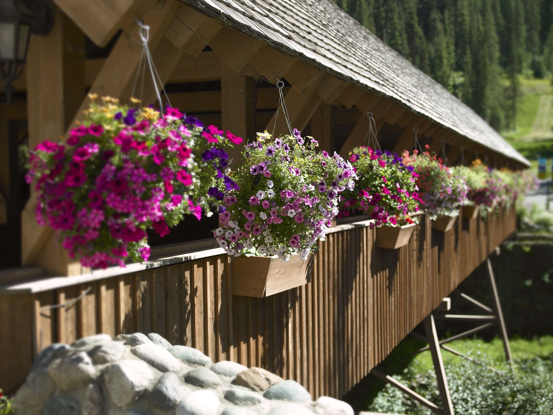 Coast Sundance Lodge - Exterior Bridge(1)