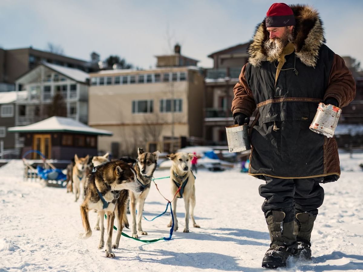 A musher with dog sled at Thunder Mountain near High Peaks Resort