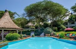 Sunbeds by the hotel pool at the Lake Manyara Serena Lodge
