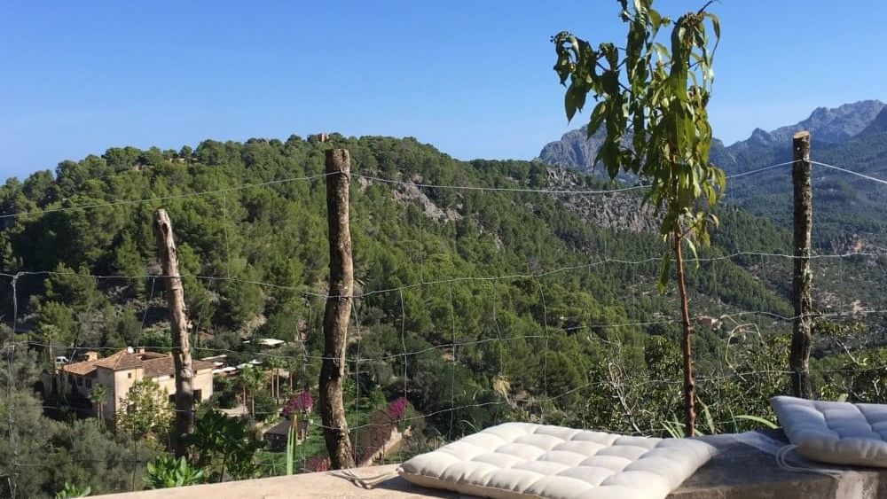 Finca Son Mico