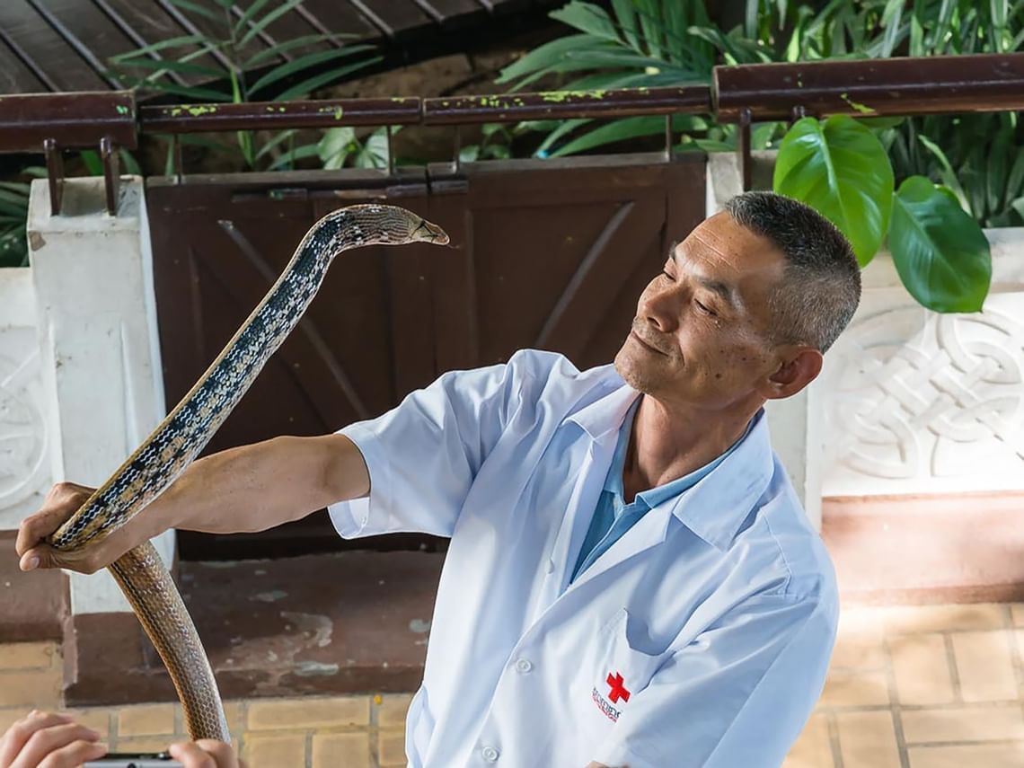 A man with a snake in Snake Farm near Chatrium Grand Bangkok