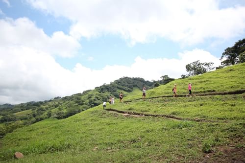 Group hiking on a mountain near Retreat Costa Rica