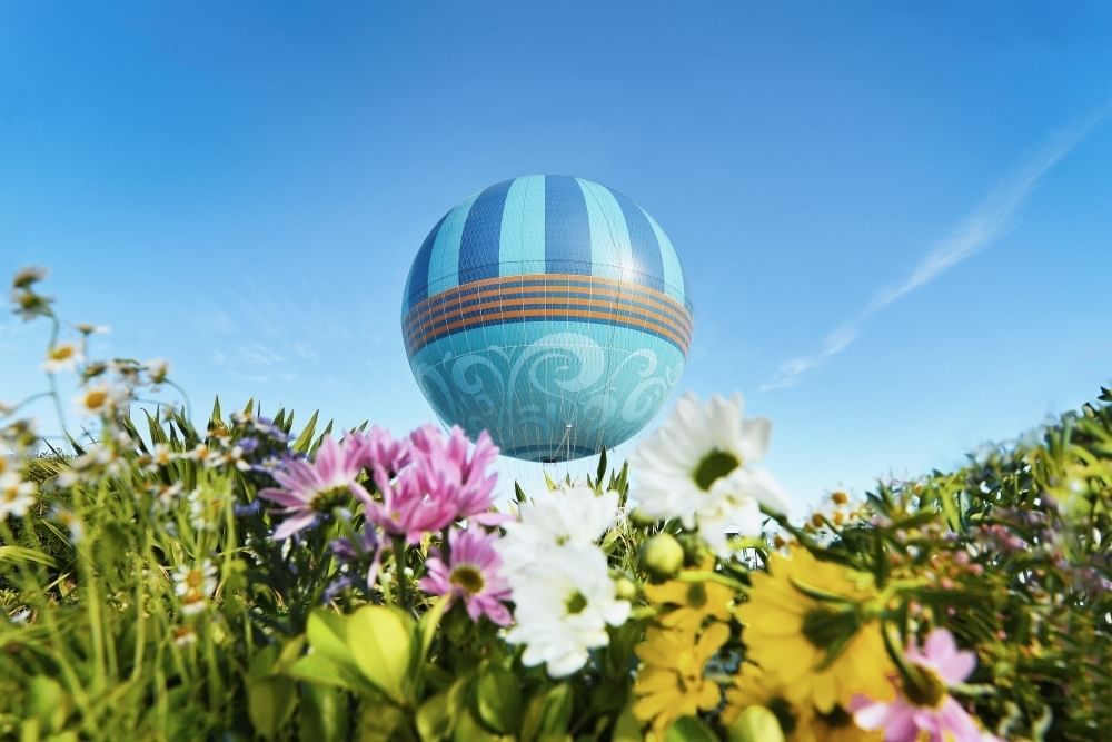 A blue striped balloon rises against a blue sky with daisies and greenery in the foreground. 