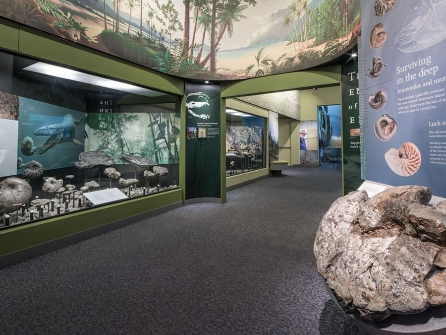 Royal BC Museum-Ice-Age-gallery- from-Huntingdon-Hotel-and-Suites-Museum-Package