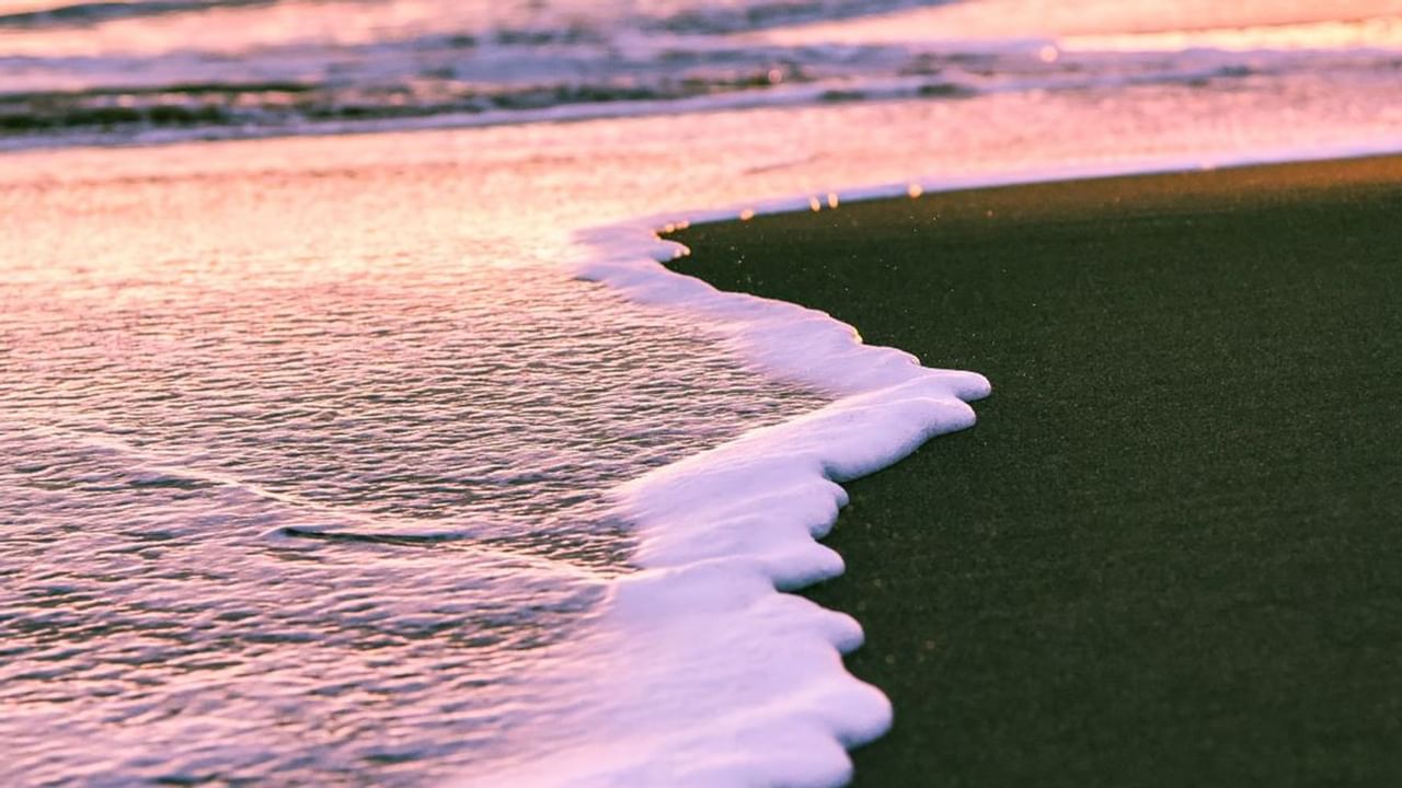 Crashing waves on a grassy beach in Hawaii