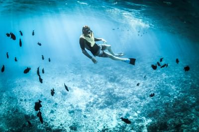 Diver floating underwater surrounded by fish, with sunlight filtering through the water near Ananea Madivaru Maldives
