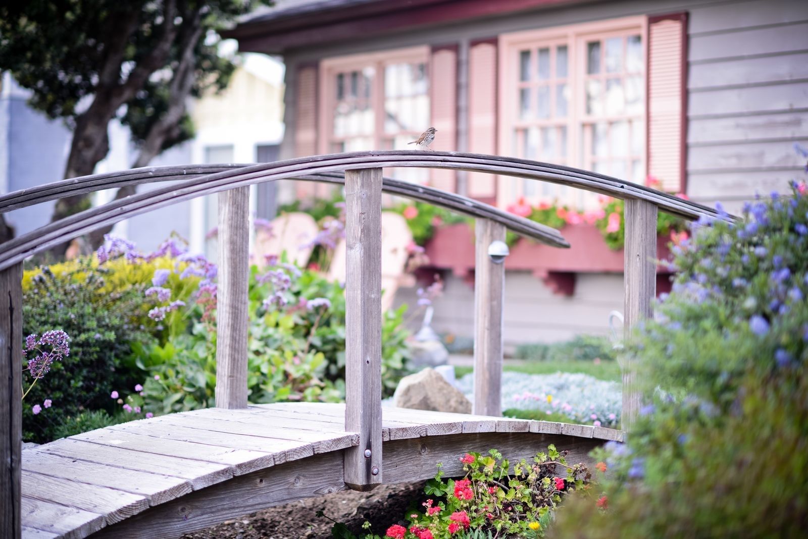 bridge in garden at Sea Otter Inn
