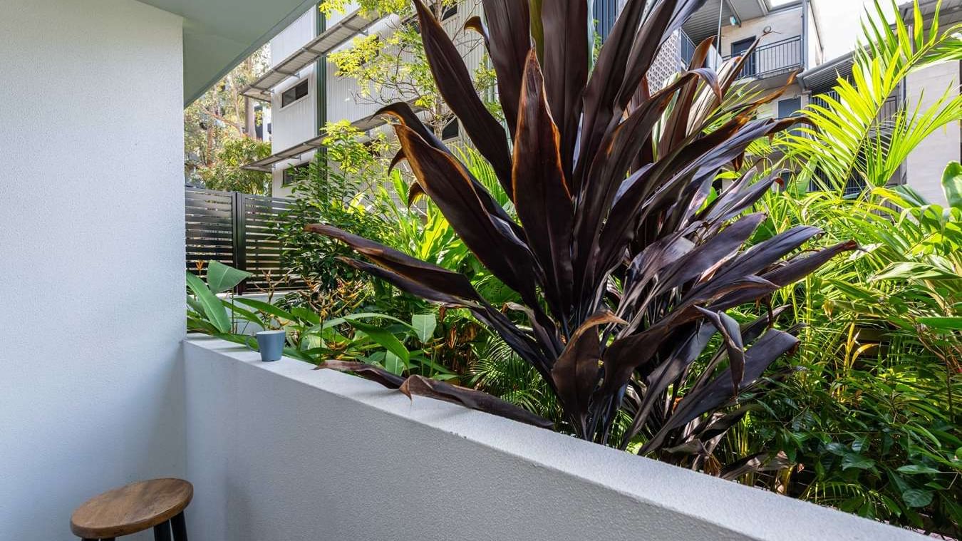 School Street Studios Studio Courtyard View