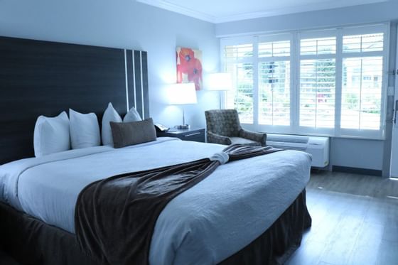 bed in hotel room