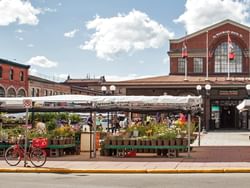 ByWard Market with colorful flowers for sale, bustling people, and a historic brick building near ReStays Ottawa