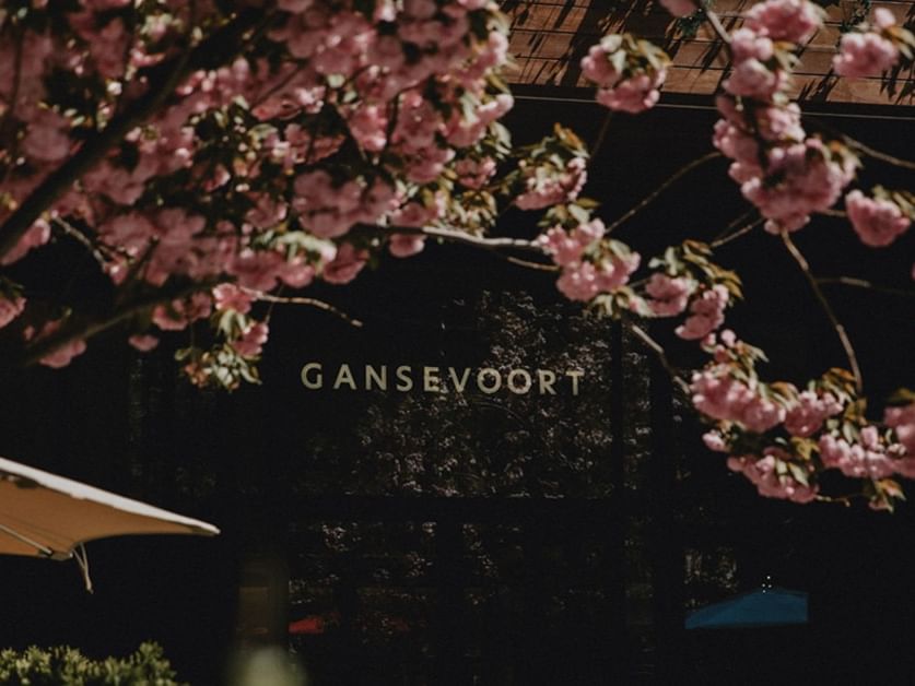 Gansevoort Hotel Meatpacking District Cherry Blossoms in Spring