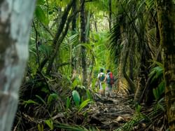 Two men at Corcovado National Park near Marina Bahia Golfito