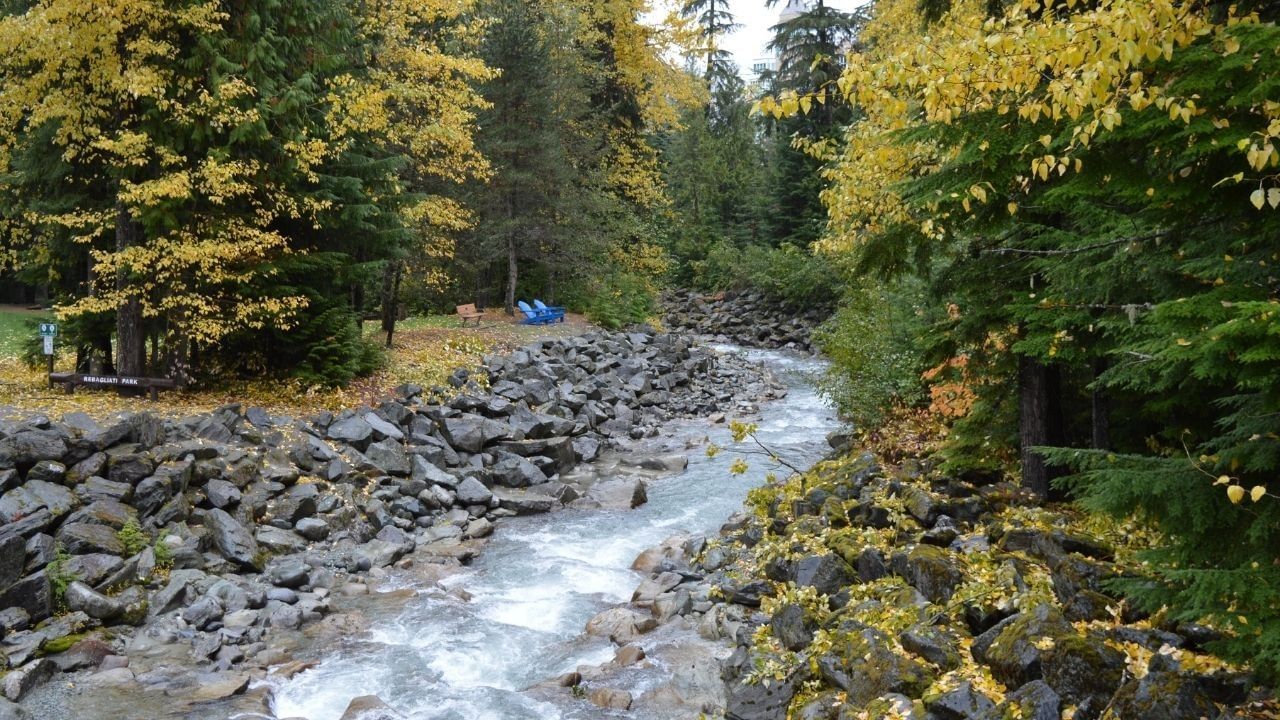 Stream flowing through rocky landscape with autumn trees and two blue chairs.