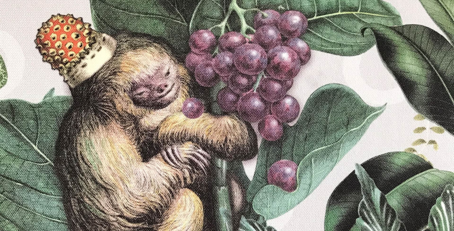 Monkey with grapes