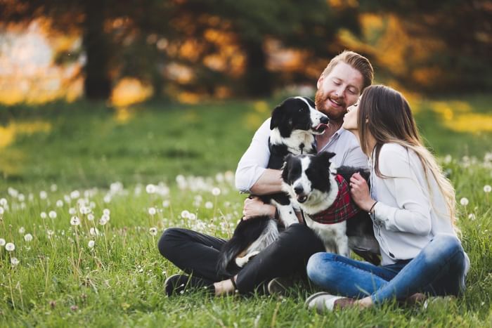 Couple playing with their dogs