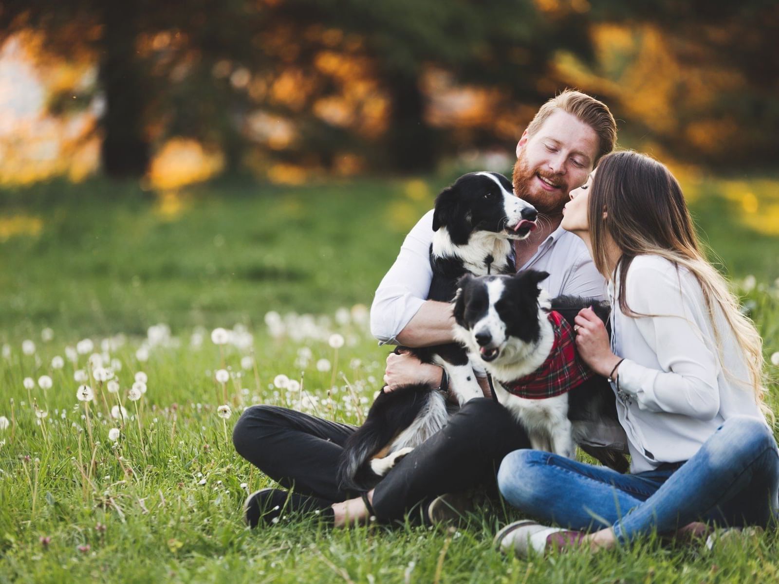 A couple cuddling with two dogs in a field at Blue Doors Hotels