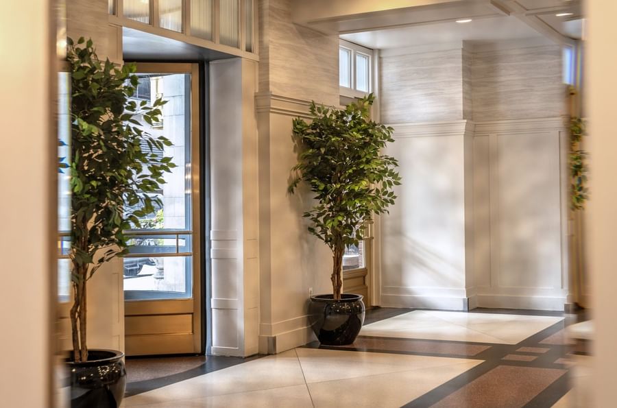 Potted trees placed by the entrance doors and lobby walls under bright lighting at Warwick Allerton Chicago