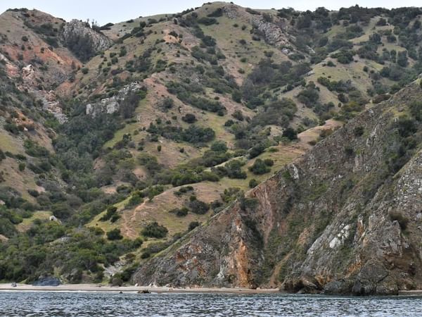 View of Goat Harbor with mountains and lush green trees near Catalina Island luxury hotels