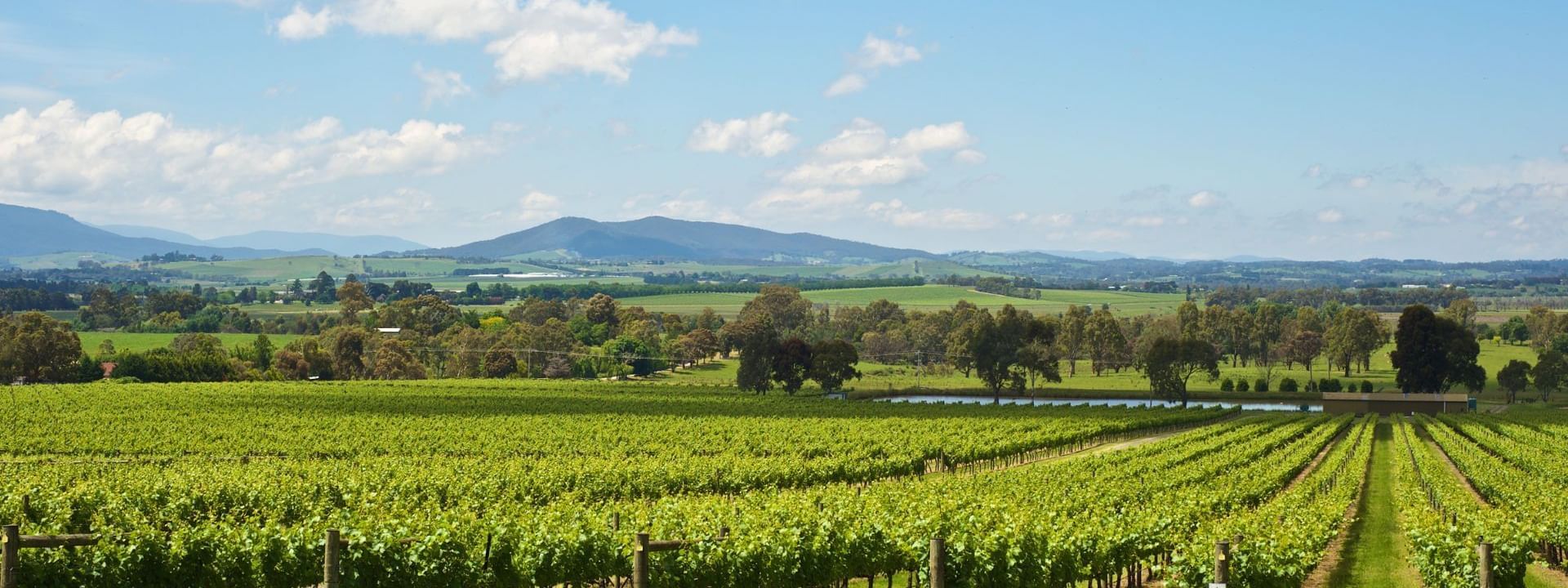 Landscape view of Yarra Valley near Novotel Glen Waverley