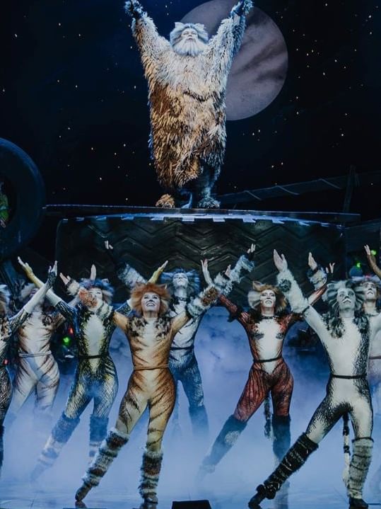 Queensland Performing Arts Centre 'CATS' the Musical