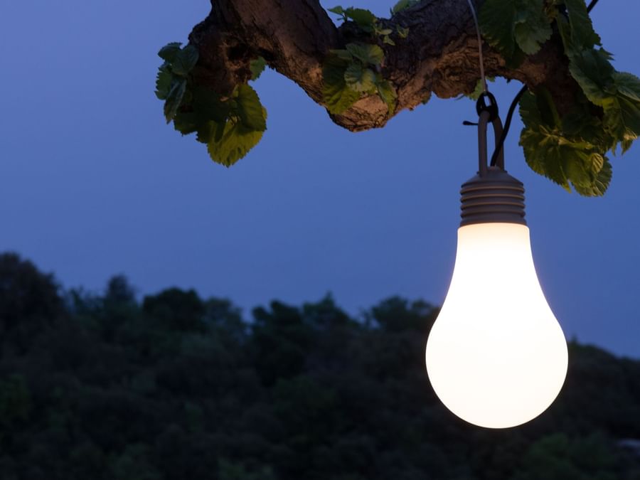 Closeup of a light bulb hanging at Mas des Romarins