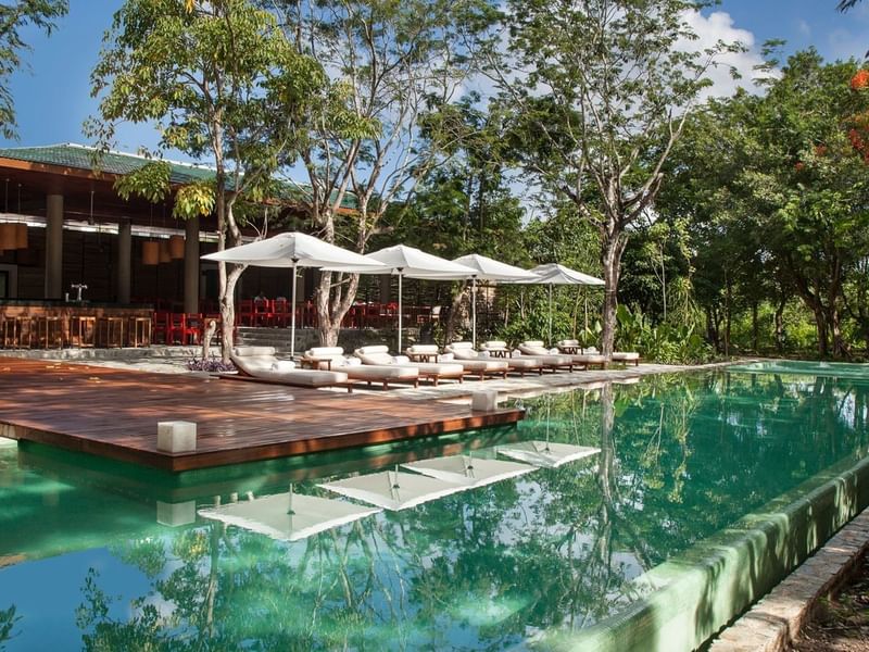 Luxurious poolside with loungers, white umbrellas, lush greenery, and a stylish bar at The Explorean Resorts